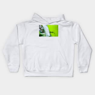 Small green gecko poking head over edge of tropical leaf with body silhouetted through leaf. Kids Hoodie